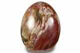 Free-Standing, Polished Petrified Wood - Madagascar #256706-1